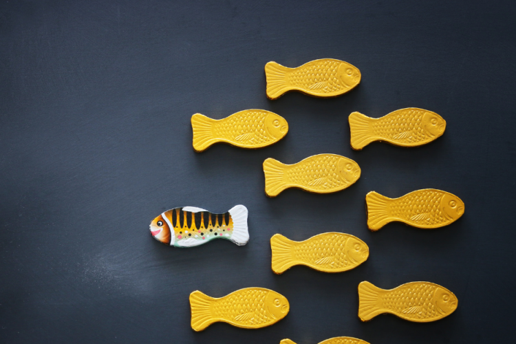 su-khac-biet-ben-vung